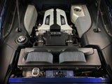 Magnum Flow OE Replacement Air Filter w/ Pro Dry S Media Audi R8 08-15 V8-4.2L aFe Power