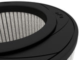 Magnum Flow OE Replacement Air Filter w/ Pro Dry S Media Acura Rsx 02-06 / Honda Civic Si 03-05 L4-2.0L aFe Power