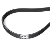 Serpentine Belt - 2017-2019 GM 6.6L L5P Dual Alternator 3683mm 6 Rib Pacific Performance Engineering