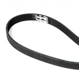 Serpentine Belt - 2017-2019 GM 6.6L L5P Dual Alternator 3683mm 6 Rib Pacific Performance Engineering