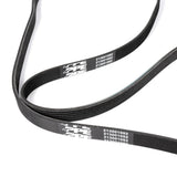 Serpentine Belt - 2012-2023 Dodge Challenger/Charger V8 2081mm 6 Rib Pacific Performance Engineering
