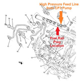 CP3 Fuel Pump Rail Plug for 6.6l LML 2011-2016 Duramax