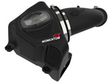 Momentum GT Cold Air Intake System w/ Pro Dry S Filter Ram 2500 / Power Wagon / 3500 17-18 V8-6.4L Hemi aFe Power