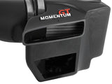 Momentum GT Cold Air Intake System w/ Pro Dry S Filter Jeep Grand Cherokee (WK2)/Dodge Durango 16-26 V6-3.6L aFe Power