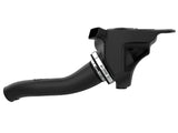 Momentum GT Cold Air Intake System w/ Pro Dry S Filter BMW Z4 (E89) 12-16 L4-2.0L (t) N20 aFe Power