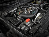 Quantum Cold Air Intake System w/ Pro Dry S Filter Ford Diesel Trucks 17-19 V8-6.7L (td) aFe Power