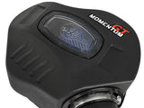 Momentum GT Cold Air Intake System w/ Pro 5R Filter BMW 330i/430i (F3X) 16-20 L4-2.0L (t) B46/B48 aFe Power