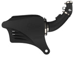 Momentum GT Cold Air Intake System w/ Pro 5R Filter BMW 116i/118i (F20/21) 11-15 L4-1.6L (t) N13 aFe Power