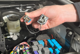 All Lights On for 2016-2023 Toyota Tacoma