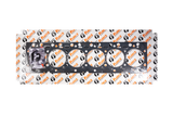 Fire Ring Head Gasket for 6.7L Cummins